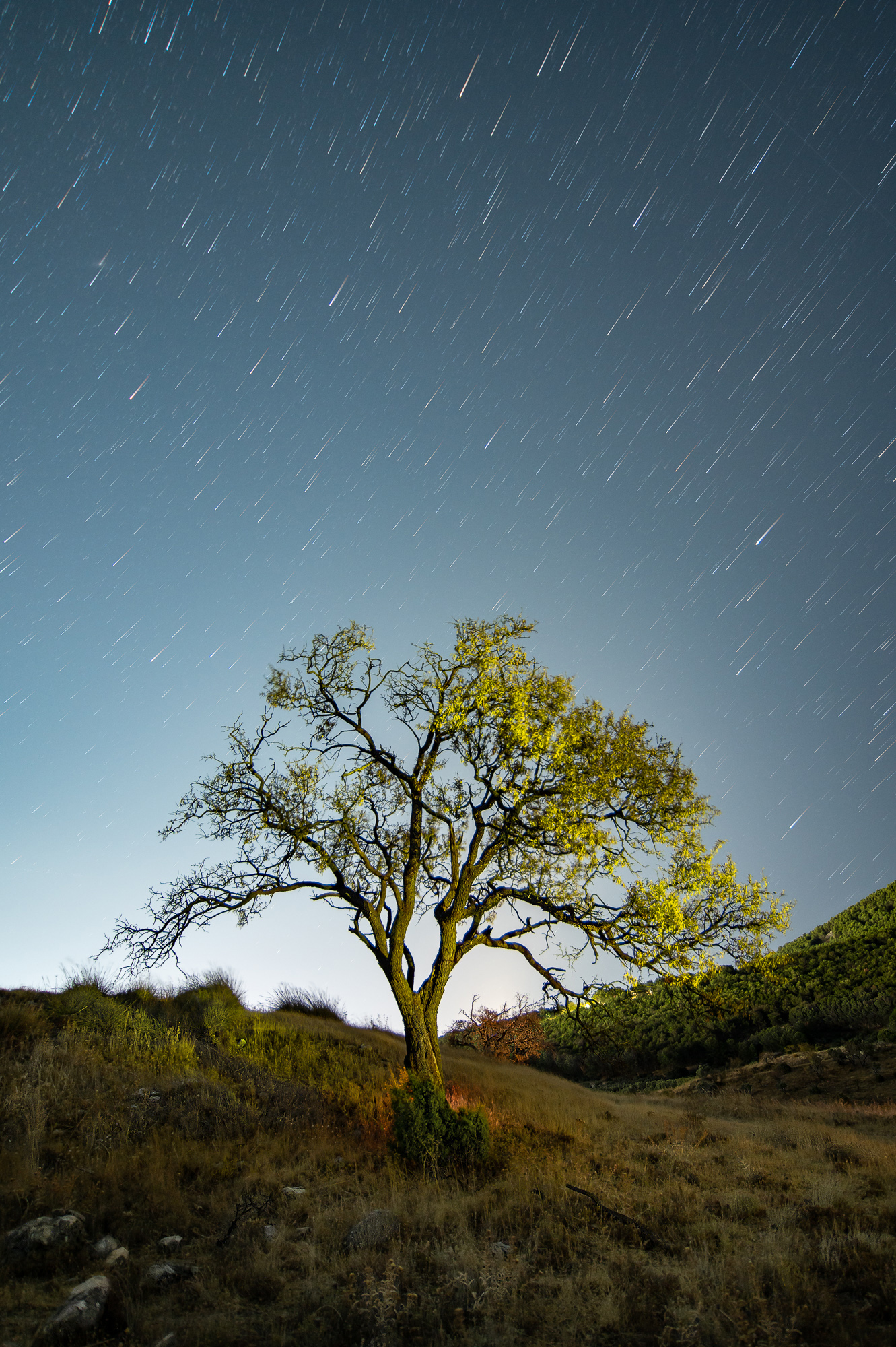 2025. NOVIEMBRE. TEMA: 